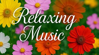 Relaxing Music for Sleep, Study, and Meditation