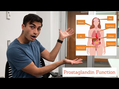 Prostaglandins - Role in the Human Body