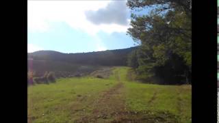 preview picture of video '1°raduno MTB bosco scorace'
