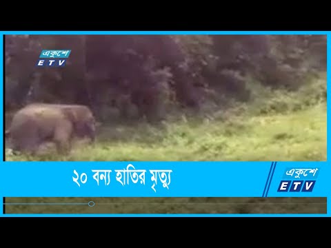 লোকালয়ে এসে ৩ বছরে ২০ বন্য হাতির মৃত্যু