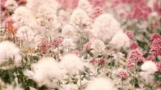 Superchunk - Hello Hawk