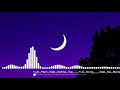 Tuj Mein Rab Tik Ta He Rabne Banadi Jodi Full Song Must Watched Movie Hear Full Movie