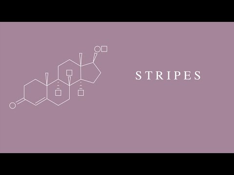 Video thumbnail for Stripes