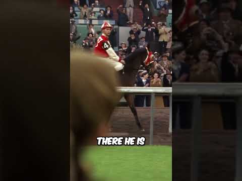 The Unexpected Reunion!