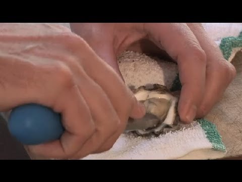 How to Eat Raw Oysters : Gourmet Recipes