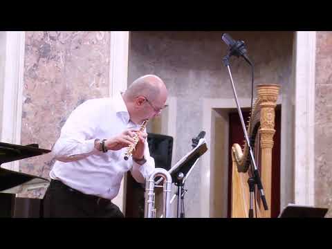 Din sunetele privirii III (From the sounds of sight III) - Ulpiu Vlad, Bogdan Ștefănescu (flute)