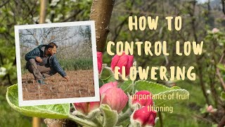 Low flower | leafy bud problem | how to stop leafy buds!!!