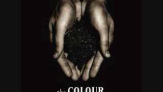 The Colour - Silver Meadows