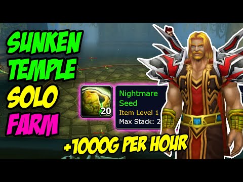 How ALL CLASSES Can SOLO Farm Sunken Temple! (Mage & Hunter BiS)