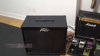 Video thumbnail for Marshall DSL5 Celestion ten-30 versus Peavey Blue Marvel 112 cab by picpouille