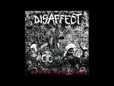 Disaffect - Cos I Look Different To You