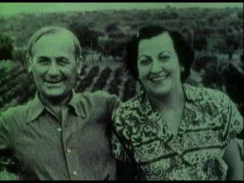 D’un roig encès: Miró i Mont-roig “D’un roig encès: Miró i Mont-roig” (1979), 20 min. trailer thumbnail