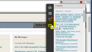 Blackboard's Global Navigation Panel and Settings