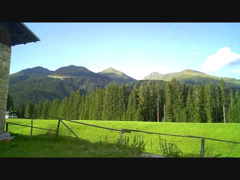 Da Plenta in Val Visdende