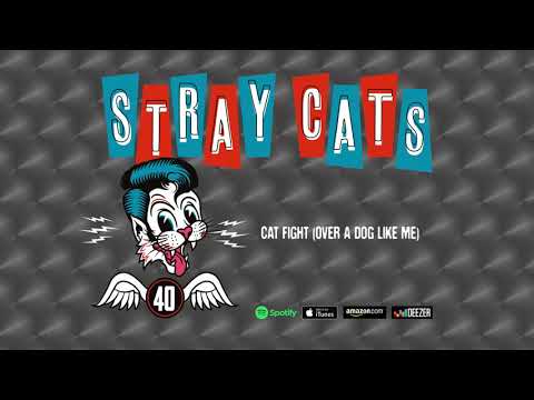 Stray Cats - Cat Fight (Over A Dog Like Me)