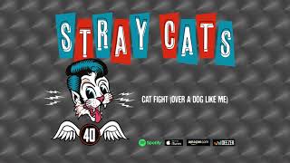 Stray Cats - Cat Fight (Over A Dog Like Me)