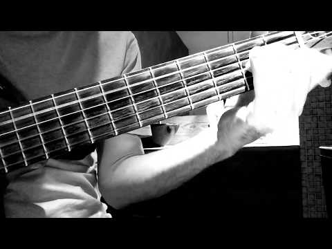 Flor da paisagem - Amelinha