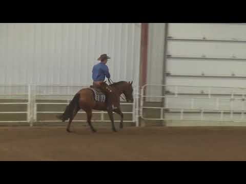 180728 Adam Reed on KR Surfs Up NP Derby