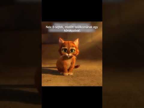 A naiv B-sejt