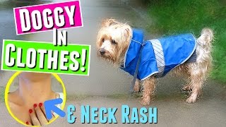 DOG IN CLOTHES! & NECK RASH :(