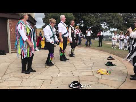 Speed the Plough (Sydney) - Fiddlestix Morris & Phoenix Morris, 2018-08-25