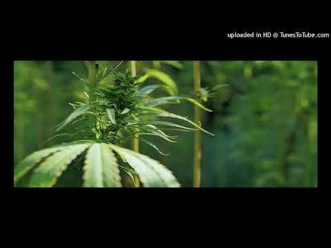 Makcta Universe - T.H.C clouds