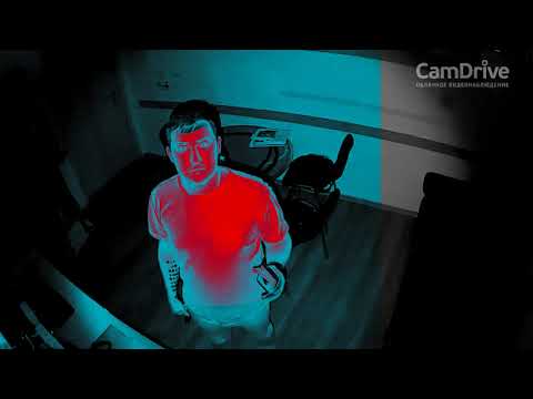 Обзор CamDrive CD310 / CD330: PIR сенсор, ИК-подсветка, динамик и микрофон