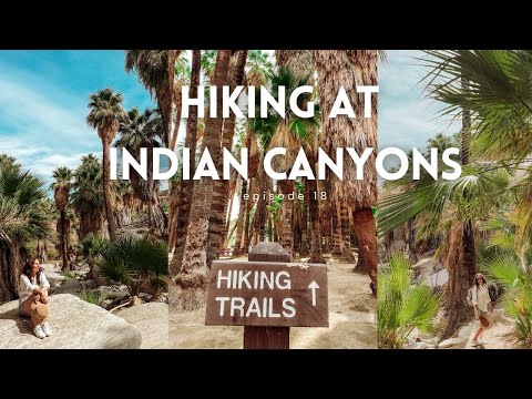 Exploring Indian Canyons – The Secret Desert Paradise of Palm Springs 🌞🌴