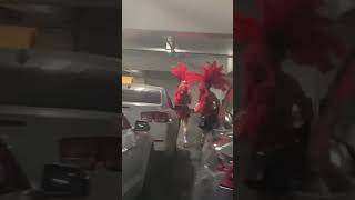 Download lagu ONLY IN VEGAS moment 👯♀️ Showgirls behind the scenes mp3 Download lagu ONLY IN VEGAS moment 👯♀️ Showgirls behind the scenes mp3