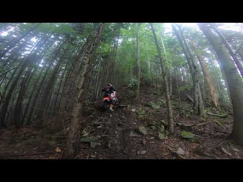 Ozsdola 2019 - Arpi Ropo-Ho