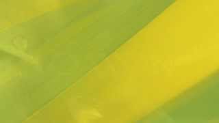 The Fire in the Flint - John Adorney, featuring Daya.mov