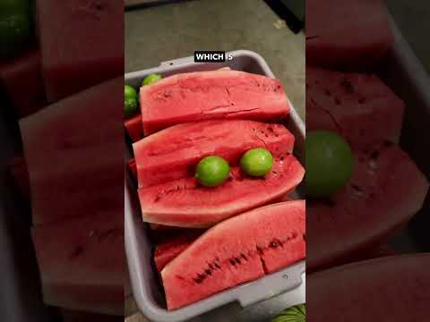 Episode 2 of Day In The Life of a Juice Business Owner 🧃WWW.JULIANSJUICEBOX.COM