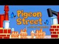 Pigeon Street Short Documentary