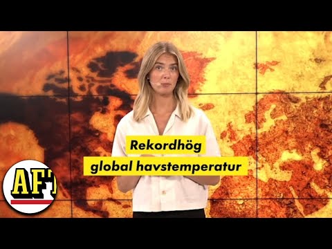 Rekordvarm sommar i världen: "Förödande konsekvenser"
