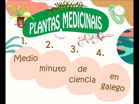 Vídeo: Plantas medicinais
