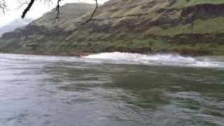 preview picture of video 'Thunder On The Snake Marathon Jet Boat Race 2013'