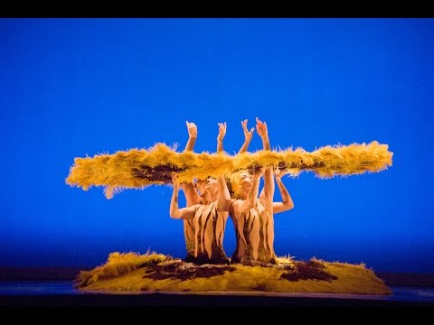 MOMIX 3 Show Promo: Remix, Botanica, Alchemia