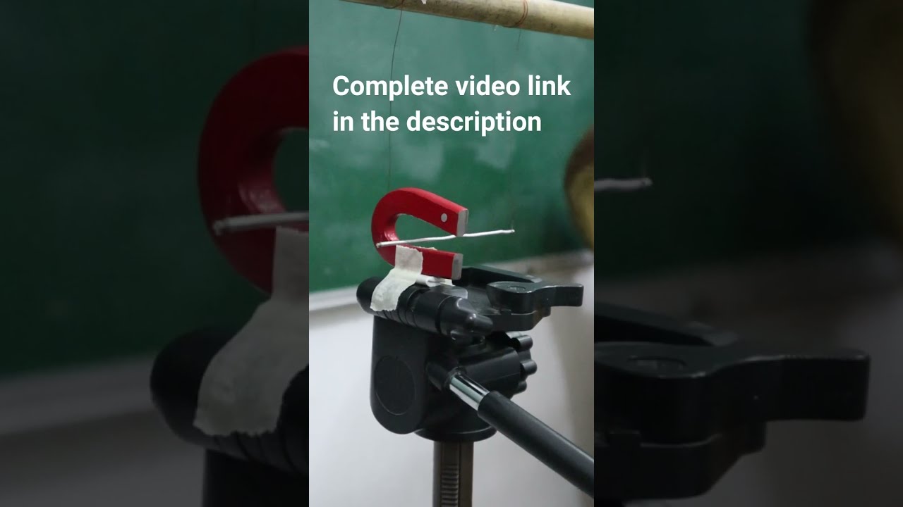 Force on a Current-Carrying Wire in a Magnetic Field🧲 | Class 10 Science Chapter 13 | LP