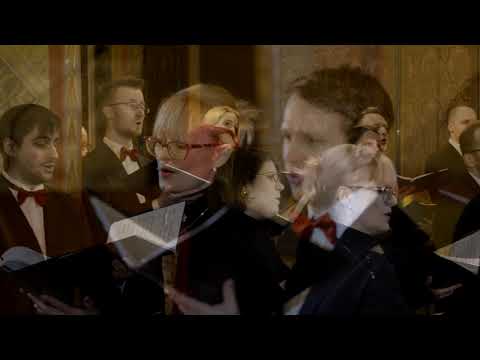 Vox in Rama - Mikołaj Zieleński - Chór Insieme