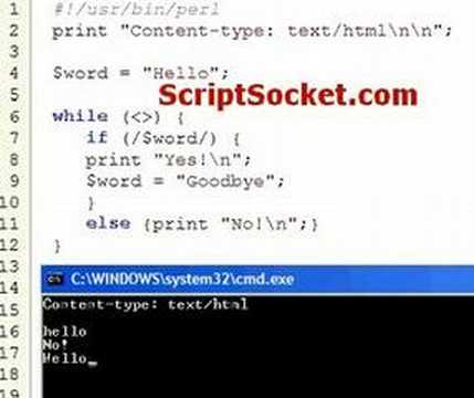Perl Tutorial 124 - Regex: o Modifier - Compile Pattern Once