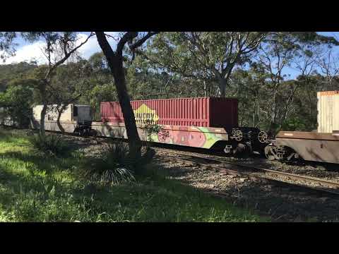 NR30 leads 2MP5 at Belair