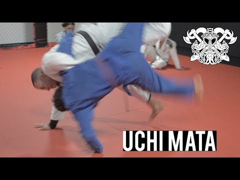 Uchi Mata (JUDO) - Professor Steven Williams