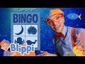Blippi S Big Blue Sea Animal Search Challenge Blippi Educational Videos For Toddlers