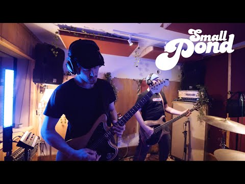 Totorro - Bernard Guez (Small Pond Session)