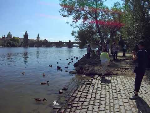 Prague’s Secret Beach Under Charles Bridge (Perfect for a Date ❤️)