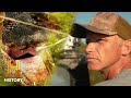 Swamp People Willie HUNTS DOWN Ghost Gator Season 13