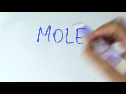 Cómo se escribe TOPO en INGLÉS