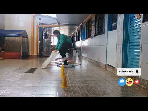 Aula de Psicomotricidade: Coordenação e Movimento para Crianças