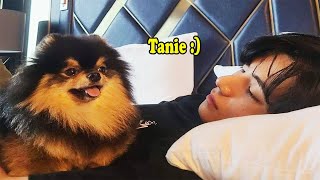 BTS with YEONTAN (Dont fall in love with YEONTAN C