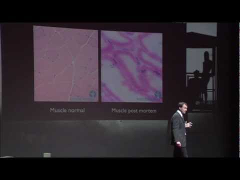 La thérapie cellulaire, avenir de la médecine? Fabrice Chrétien at TEDxParis 2012